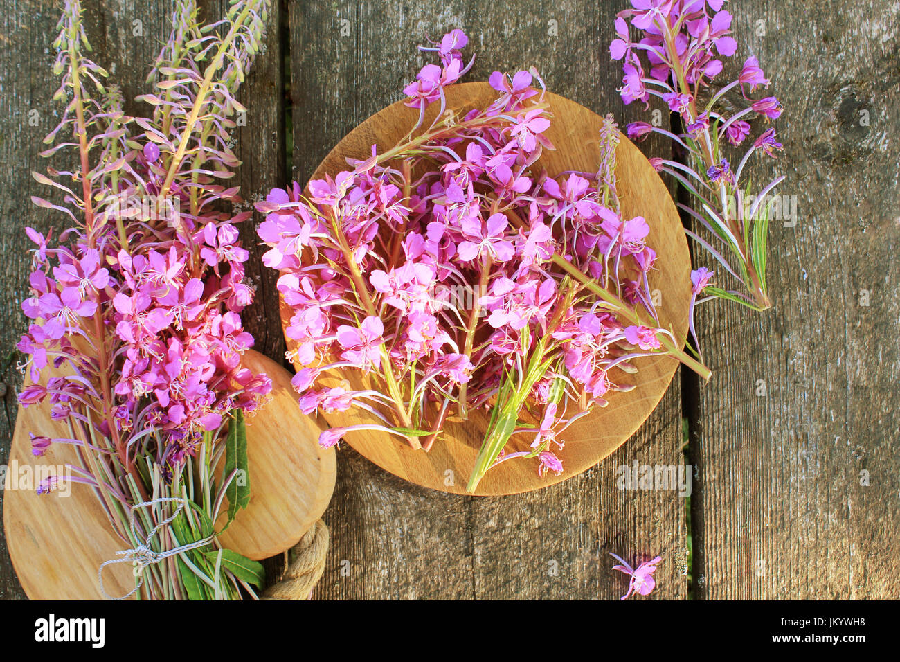 - Fleur d'Épilobe Epilobium angustifolium sur fond de bois. Vue d'en haut Banque D'Images