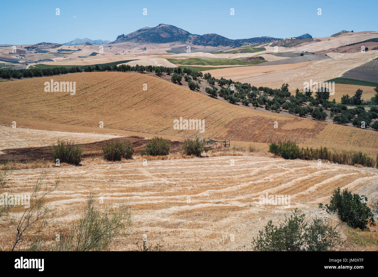 Merveilleux paysages de détente en Andalousie, Espagne Banque D'Images