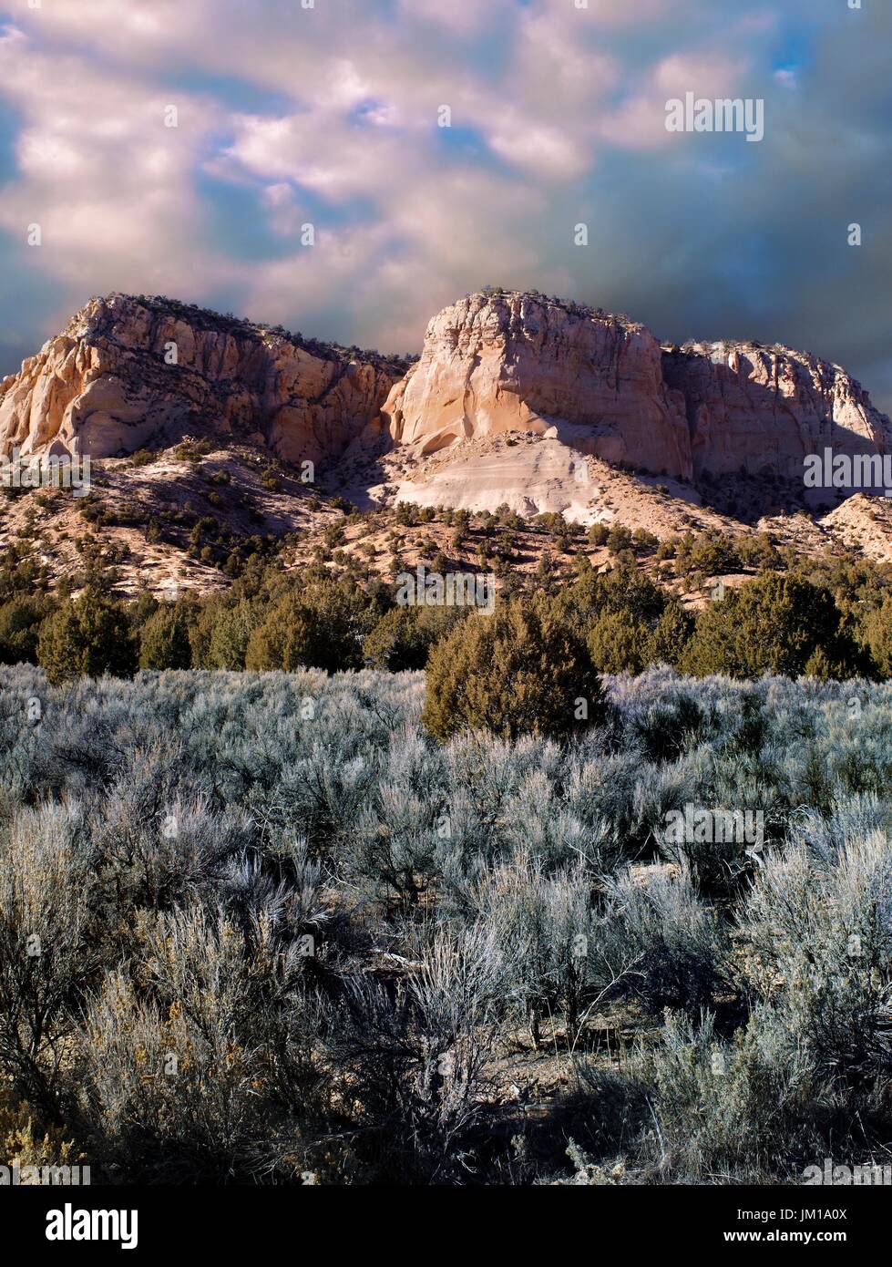 Une soirée d'une partie éloignée de la paria canyon-vermillon cliffs wilderness, Arizona, USA Banque D'Images