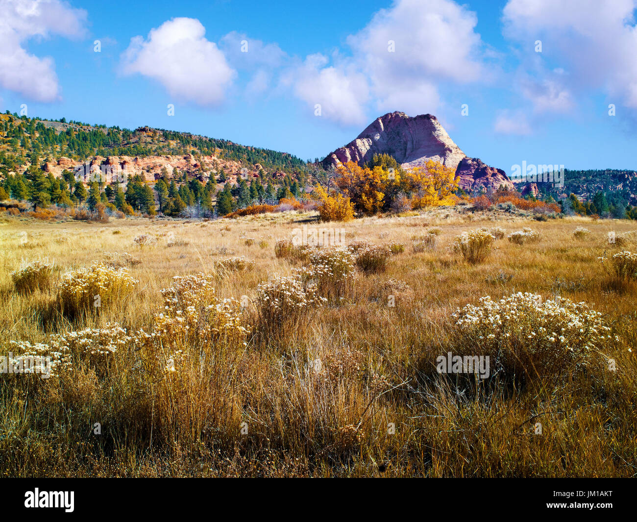 Une vue sur le paysage, kolob canyons, pendant la saison d'automne, près de Zion National Park, Utah, USA Banque D'Images