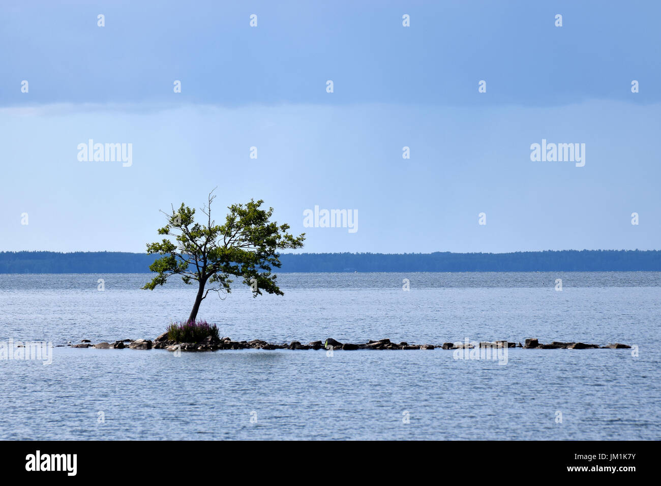 Petite île rocheuse et lonely tree au milieu du lac. Banque D'Images