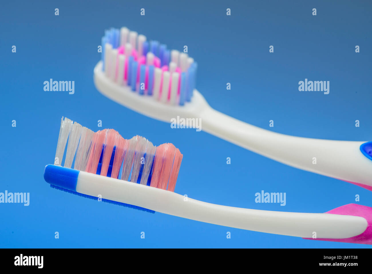 Deux têtes de brosse à dents sur fond bleu Banque D'Images