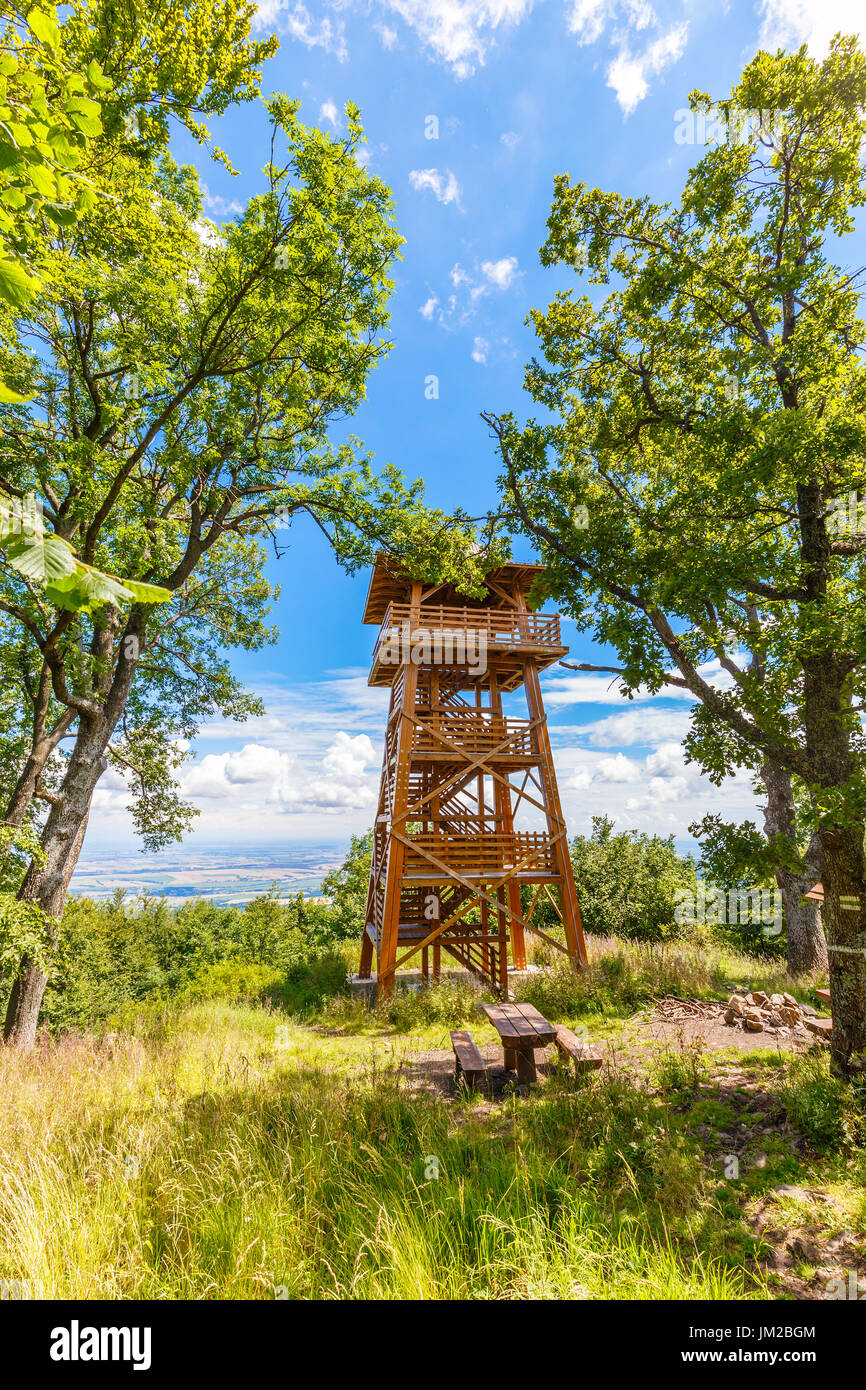 Tour en bois aux touristes d'observer le paysage environnant Banque D'Images