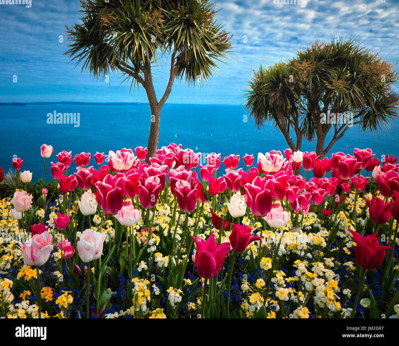 Go - DEVON : La Falaise colorée Gardens at Babbacombe Banque D'Images