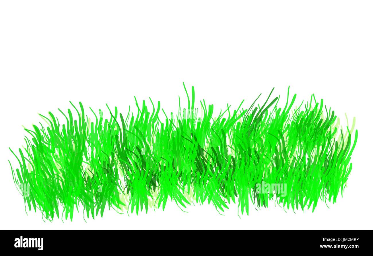 Green grass isolated on white backgraund Illustration de Vecteur