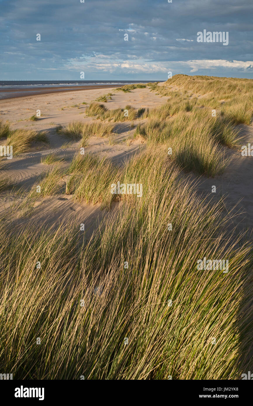 Dunes de sable et la plage, Holkham National Nature Reserve, North Norfolk Banque D'Images