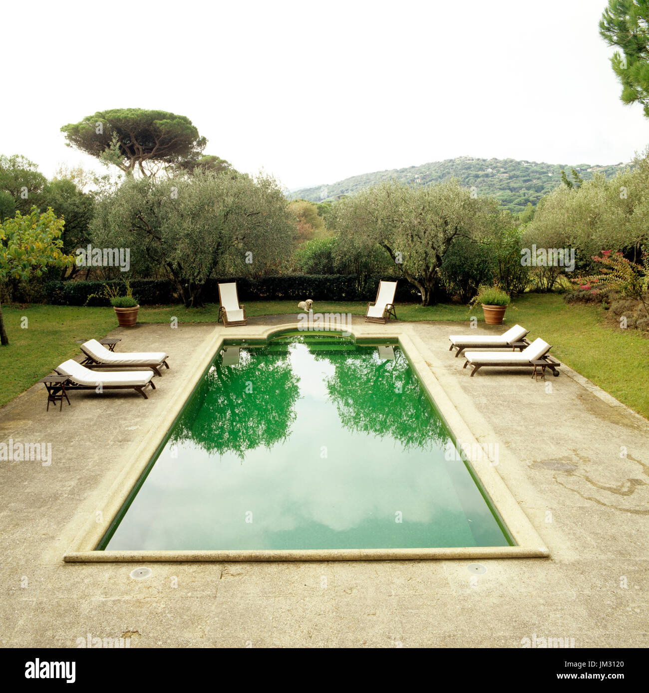 Piscine de style néoclassique Banque D'Images