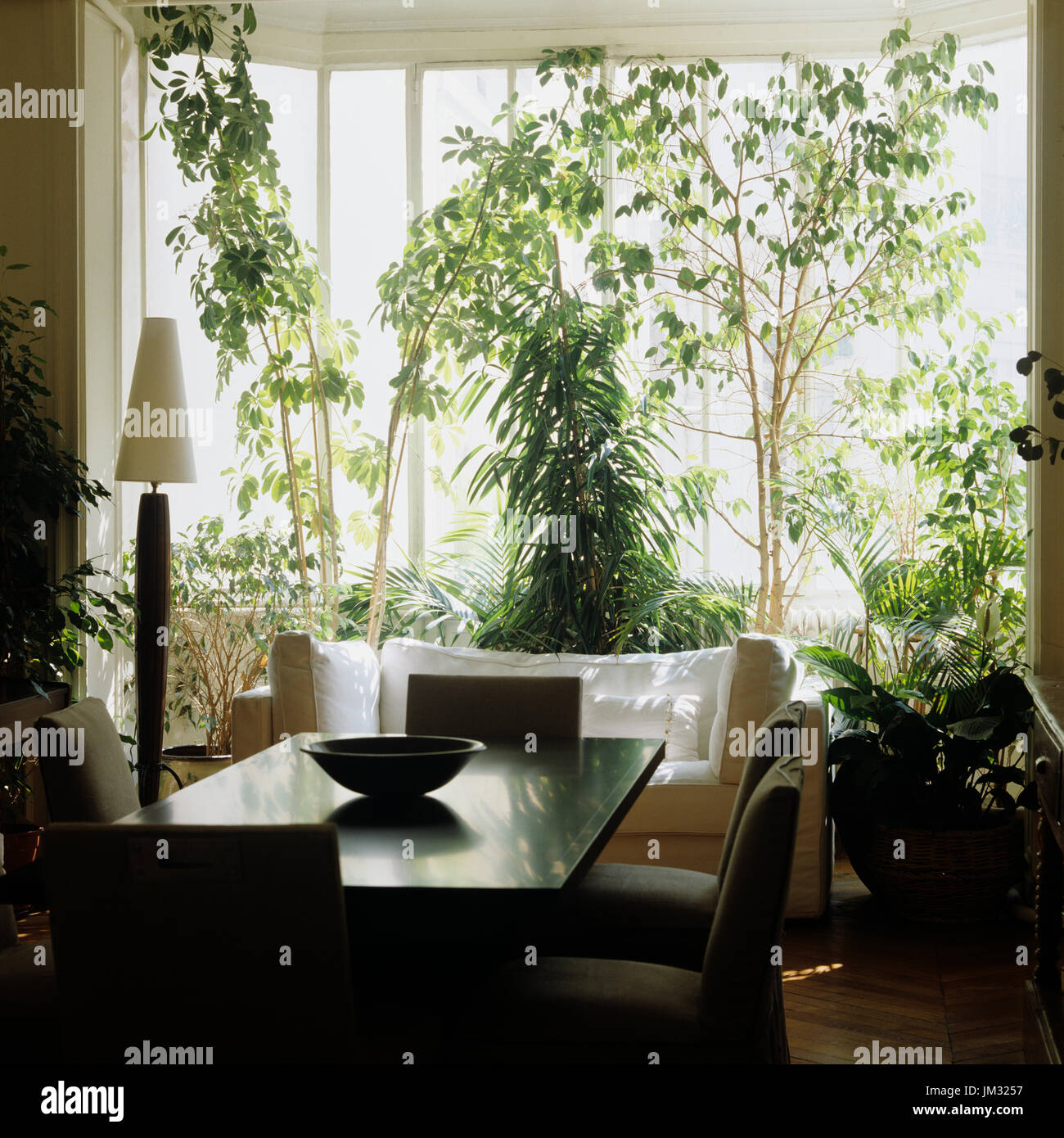 Salle à manger et des plantes en face de la fenêtre Banque D'Images