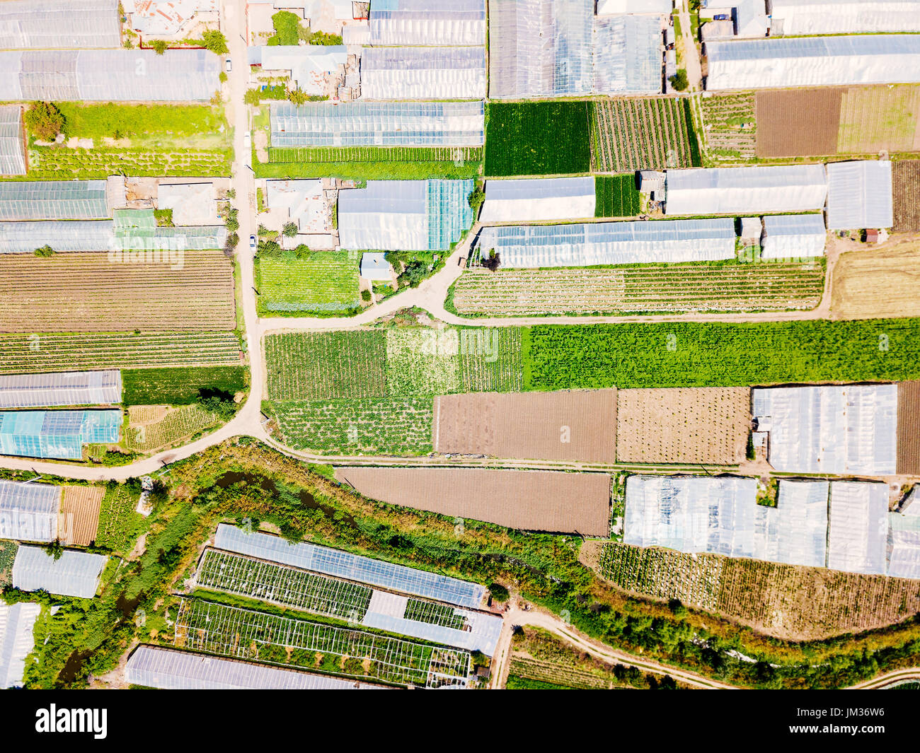 Drone aérien Vue de champs agricoles et des serres de légumes Plantation Banque D'Images