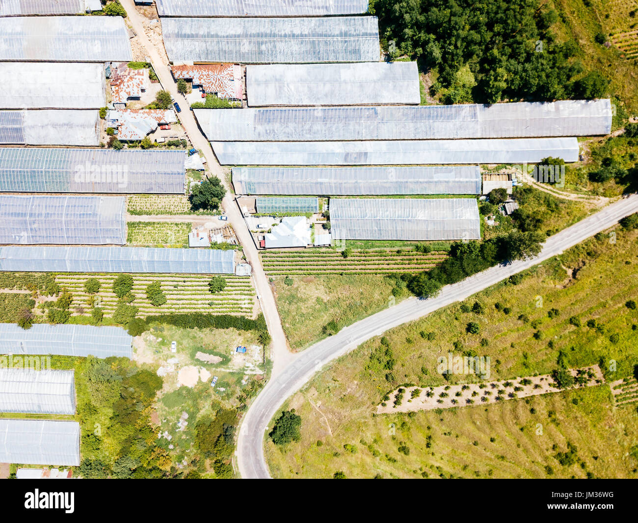 Drone aérien Vue de champs agricoles et des serres de légumes Plantation Banque D'Images