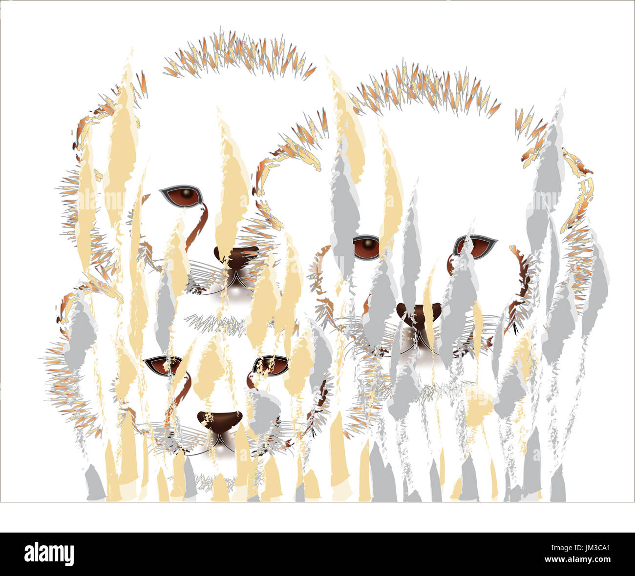 Cheetah cubs dans la savane sauvage Banque D'Images