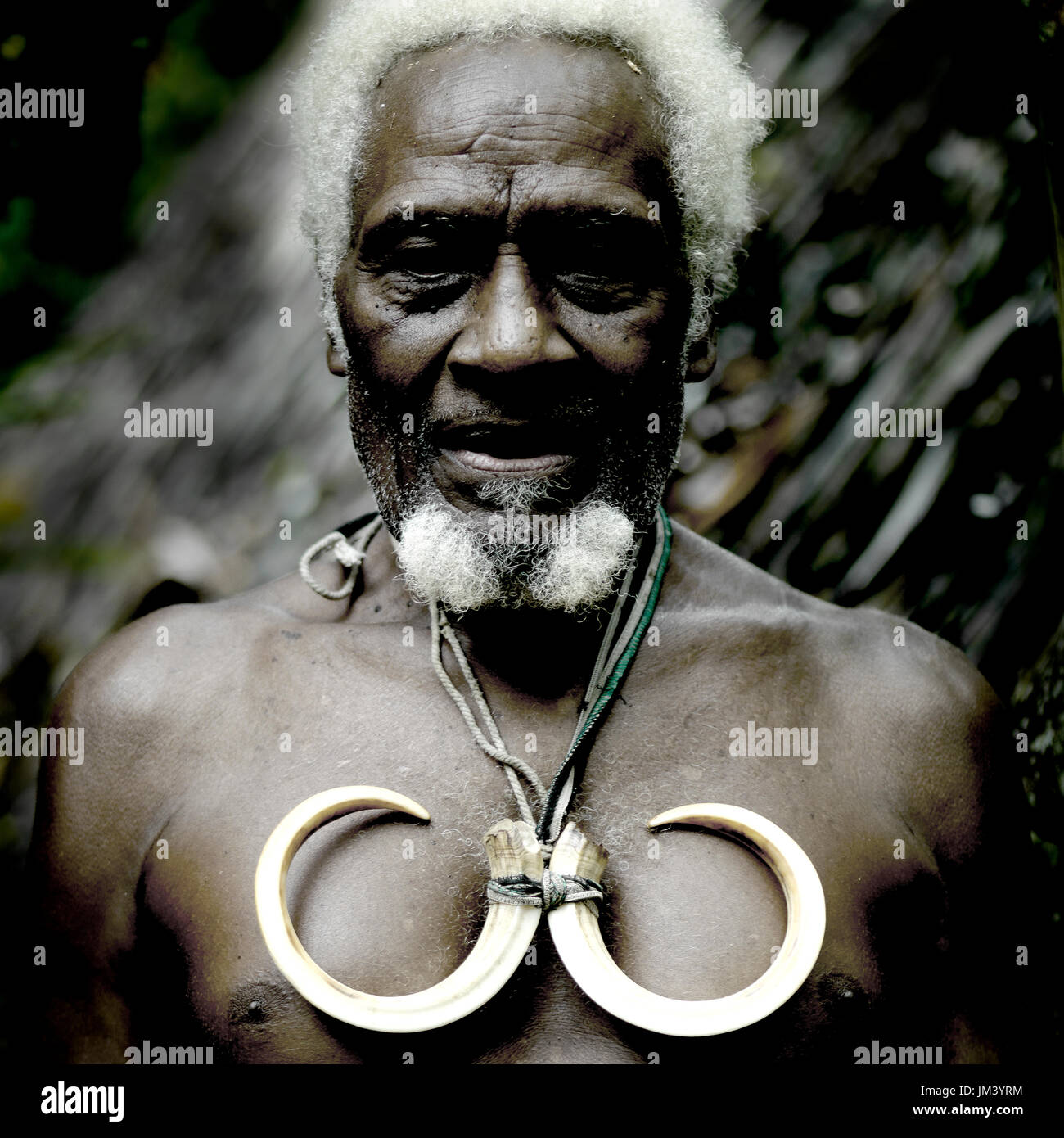 Portrait du chef Jean-Denis avec défenses de porcs sauvages, Ambrym island, Olal, Vanuatu Banque D'Images