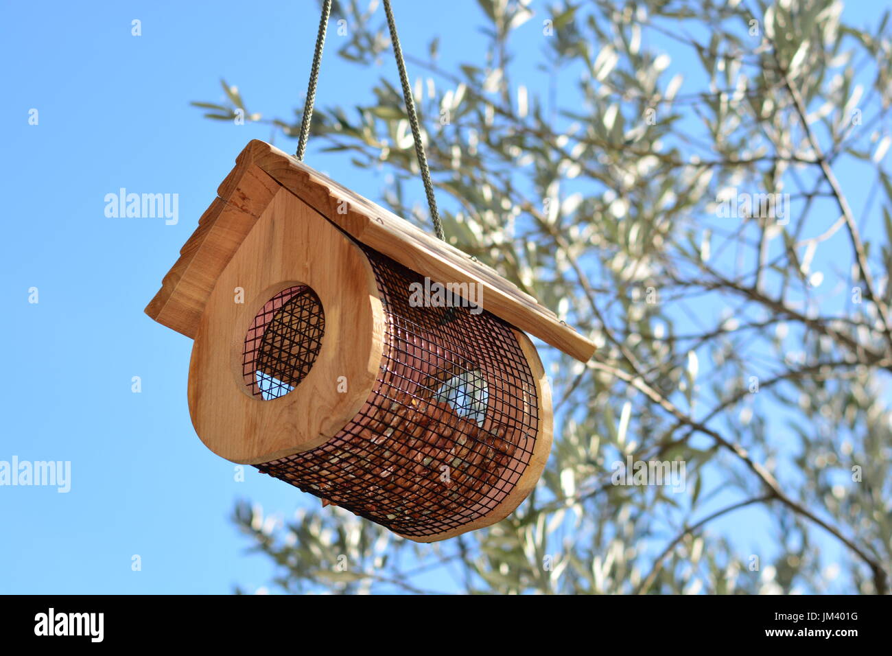 Une petite maison d'oiseau outdoor Banque D'Images