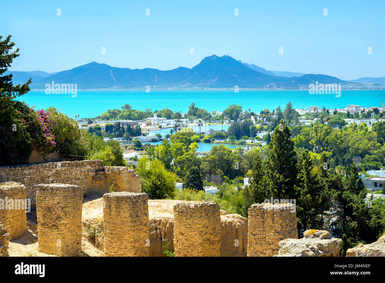 Paysage avec ruines antiques de Carthage. Tunis, Tunisie, Afrique Banque D'Images