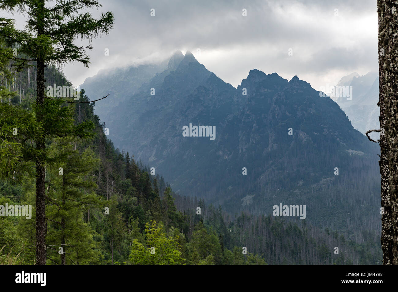 Paysage Montagnes inspirante, jour nuageux en été Tatras, de bois et de crête de montagne plus de ciel nuageux, Slovaquie Banque D'Images