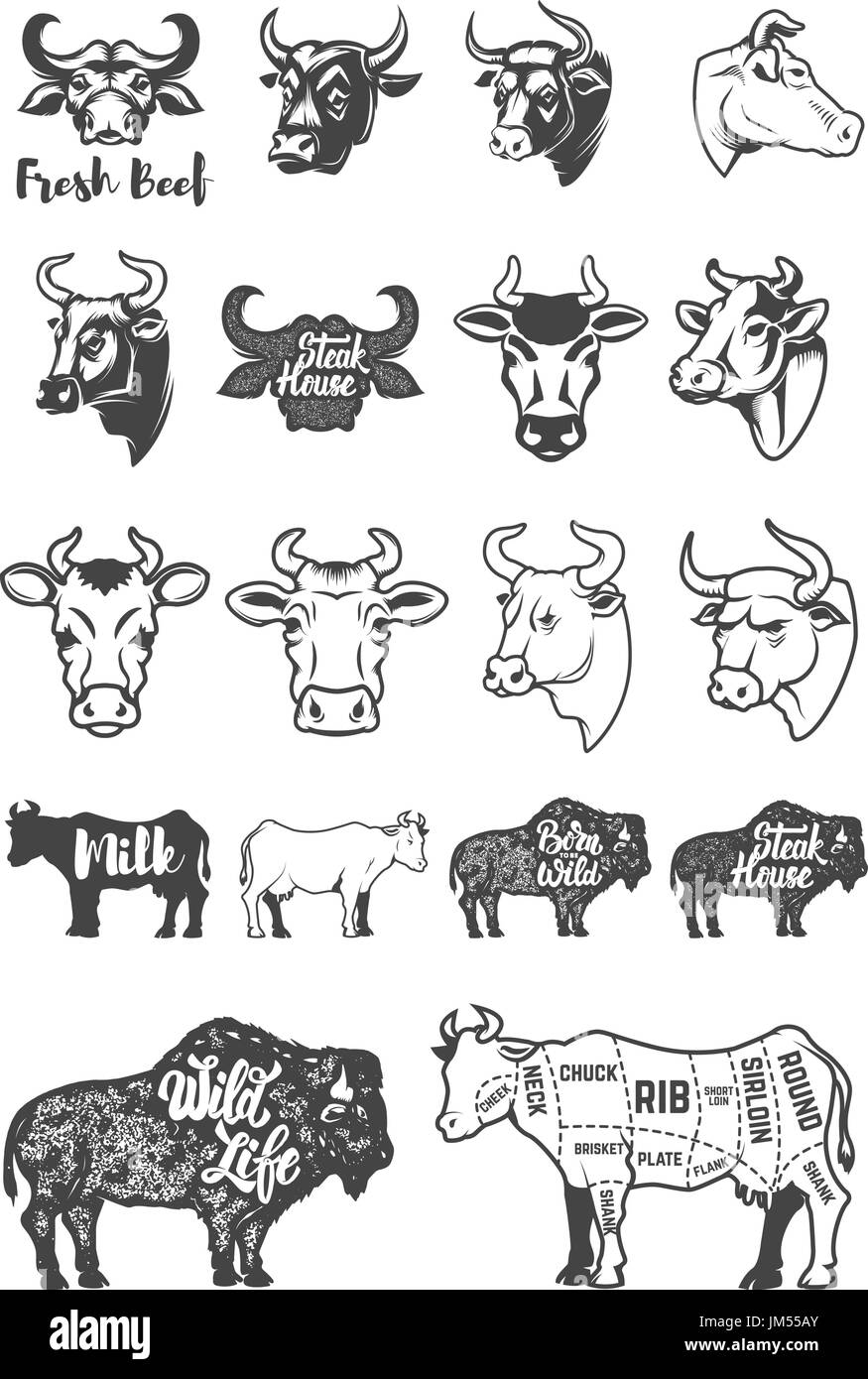 Grand ensemble de têtes de vache et de silhouettes. Éléments de conception pour le label, logo, emblème, signe. Vector illustration Illustration de Vecteur