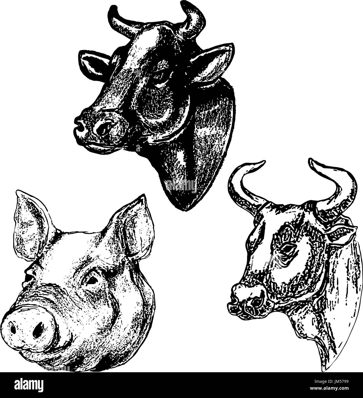 Vache à la main et chefs de porc isolé sur fond blanc. Éléments de conception pour le menu, étiquette, emblème, signe, marque, marque de l'affiche. Vector illustration Illustration de Vecteur