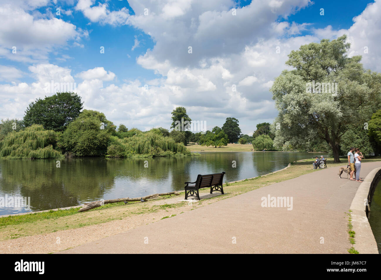 Lac et l'île Heron à Verulamium Park, St Albans, Hertfordshire, Angleterre, Royaume-Uni Banque D'Images