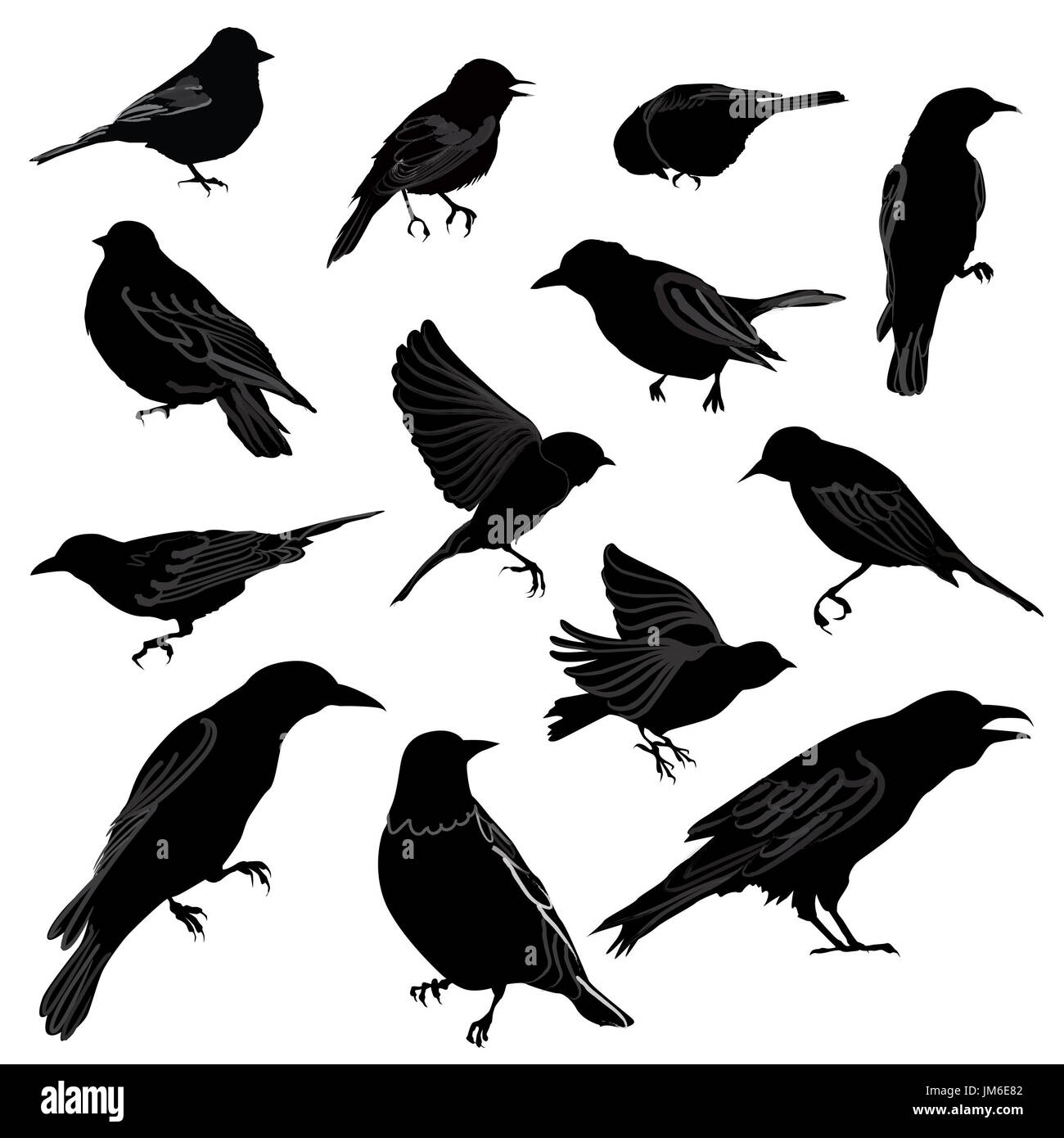 Ensemble d'oiseaux silhouette. vector illustration Banque D'Images