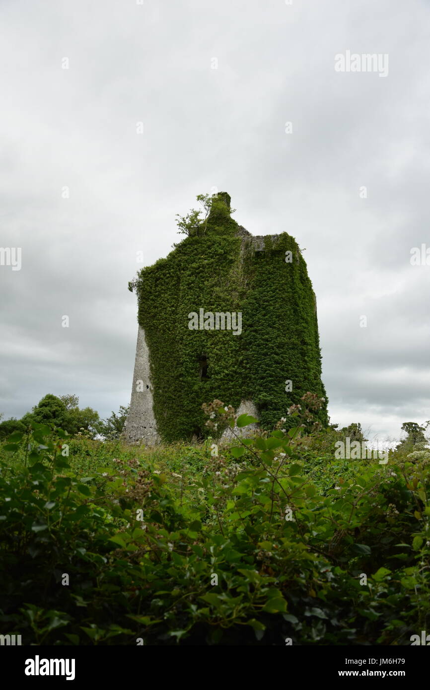 Hackett Château près de Knockma Hill dans le comté de Galway, Irlande Banque D'Images
