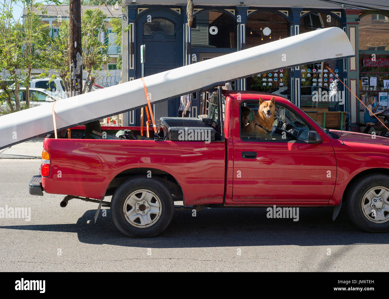 Un camion roulant sur une route avec un chien accroché à la fenêtre. Banque D'Images