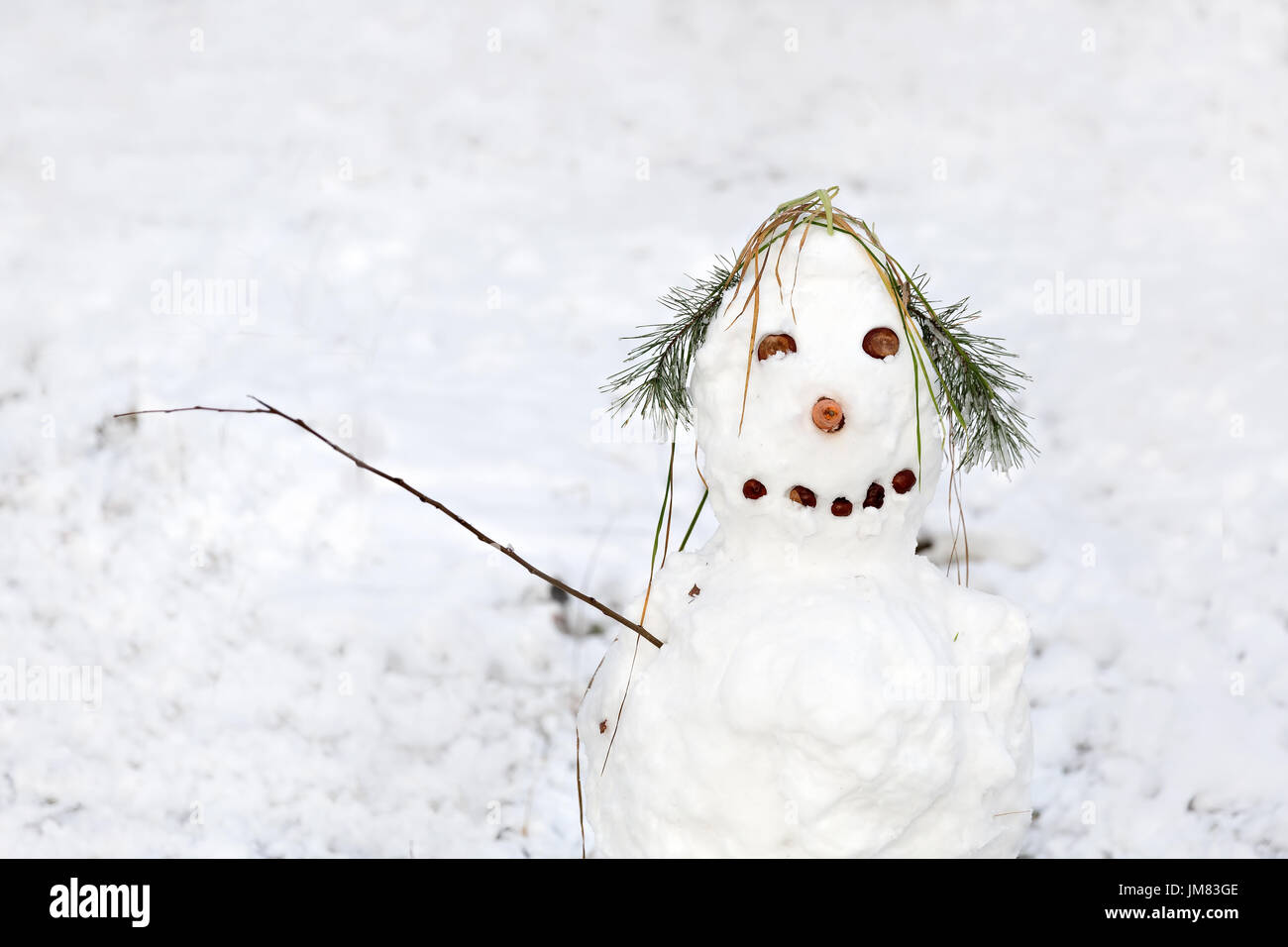 Chapeau De Bonhomme De Neige Noir Beau Bonhomme De Neige Avec Un