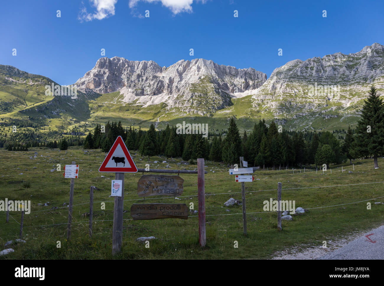 Montasio Altopiano del Montasio (plateau) et de montagnes de Montasio dans les Alpes Juliennes, Italie Banque D'Images