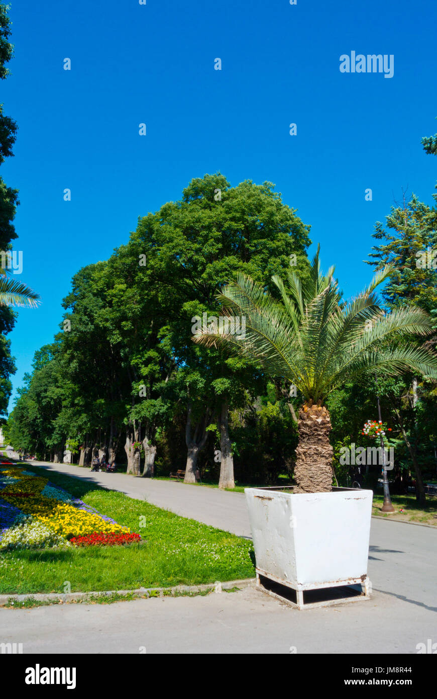 Primorski Park, Sea Garden, Varna, Bulgarie Banque D'Images