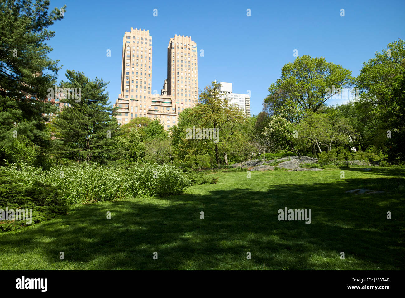 Champs de fraises central park avec vue sur le majestueux gratte-ciel de logement de la ville de New York USA Banque D'Images
