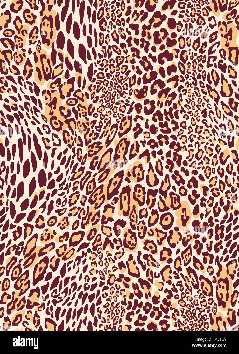 Leopard classic transparente texture pattern. Illustration vecteur EPS 10 Illustration de Vecteur