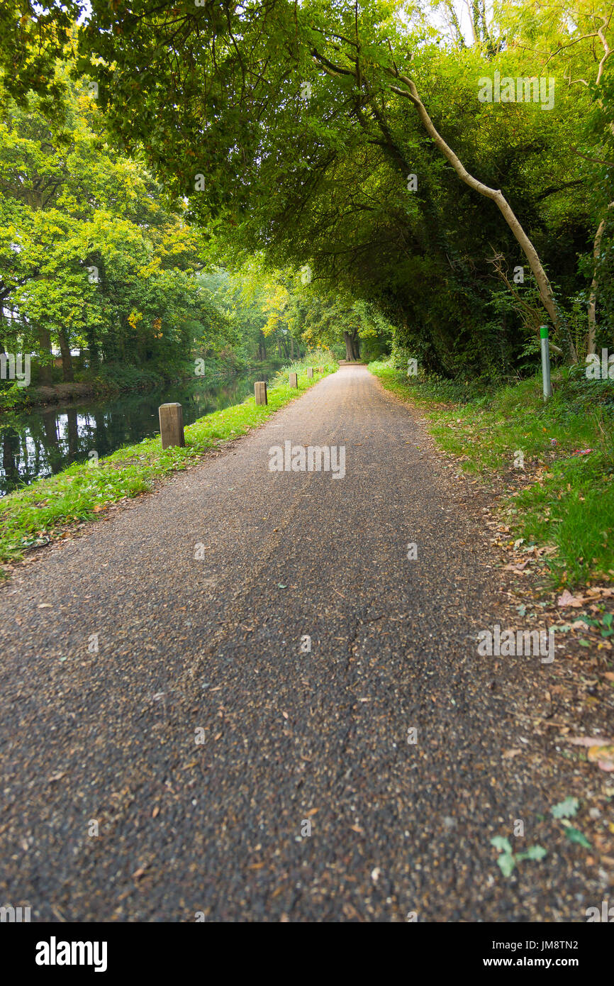 À pied dans le sentier du parc du chemin de l'eau au satellite à Woking, Surrey, Angleterre Banque D'Images