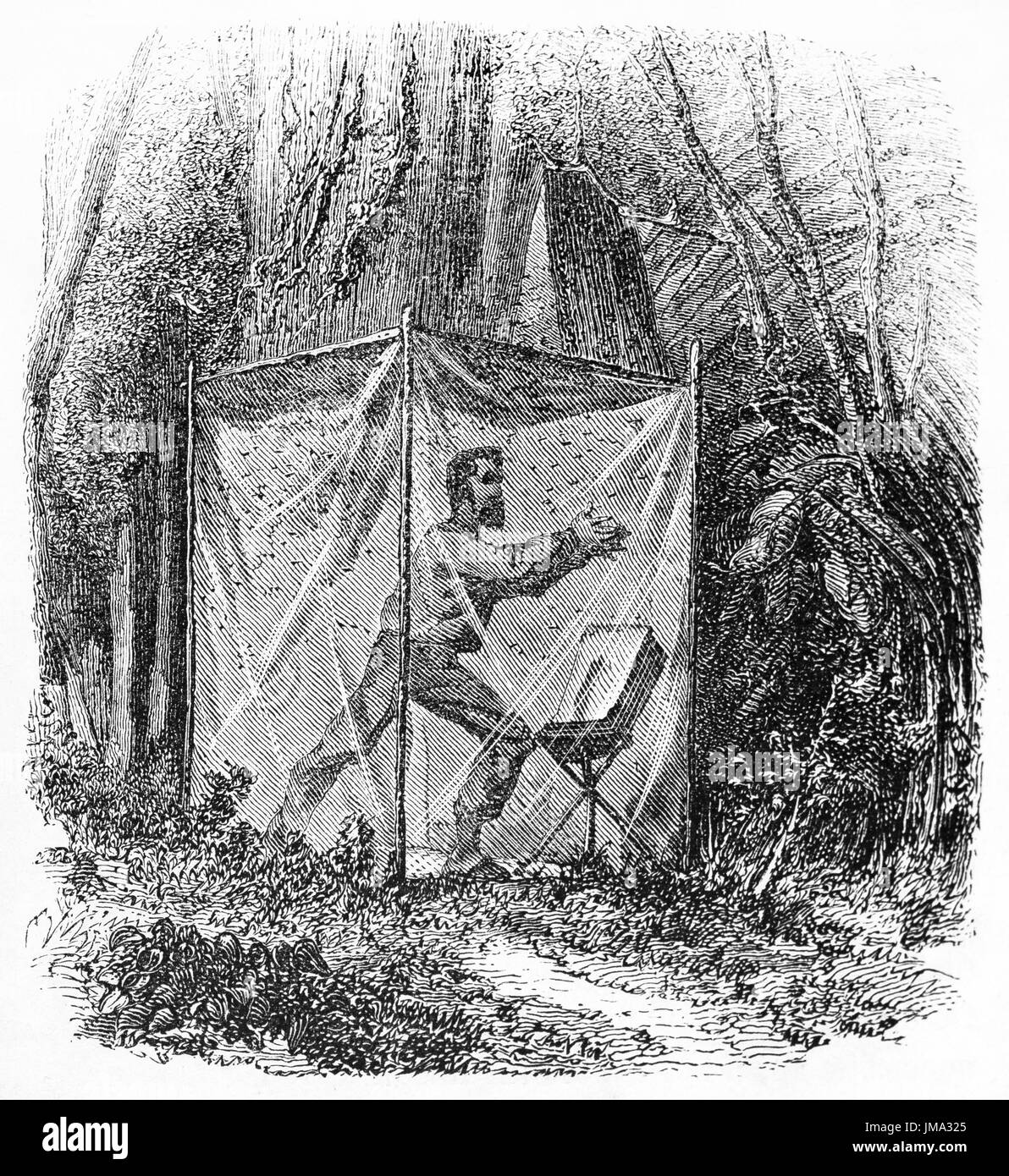Vieille illustration d'explorer l'assemblage écran insectes cabane dans la jungle. Par auteur non identifié, publié sur le Tour du Monde, Paris, 1861. Banque D'Images