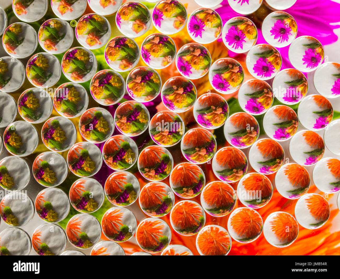 La réfraction 1 Fleurs Banque D'Images