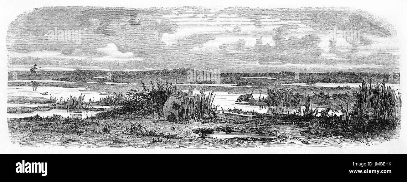 Chasseur caché derrière les plantes aquatiques se préparant à tirer un coguar dans une vaste zone humide en Patagonie. Art de style gravure par Trichon et Castelli, 1861 Banque D'Images