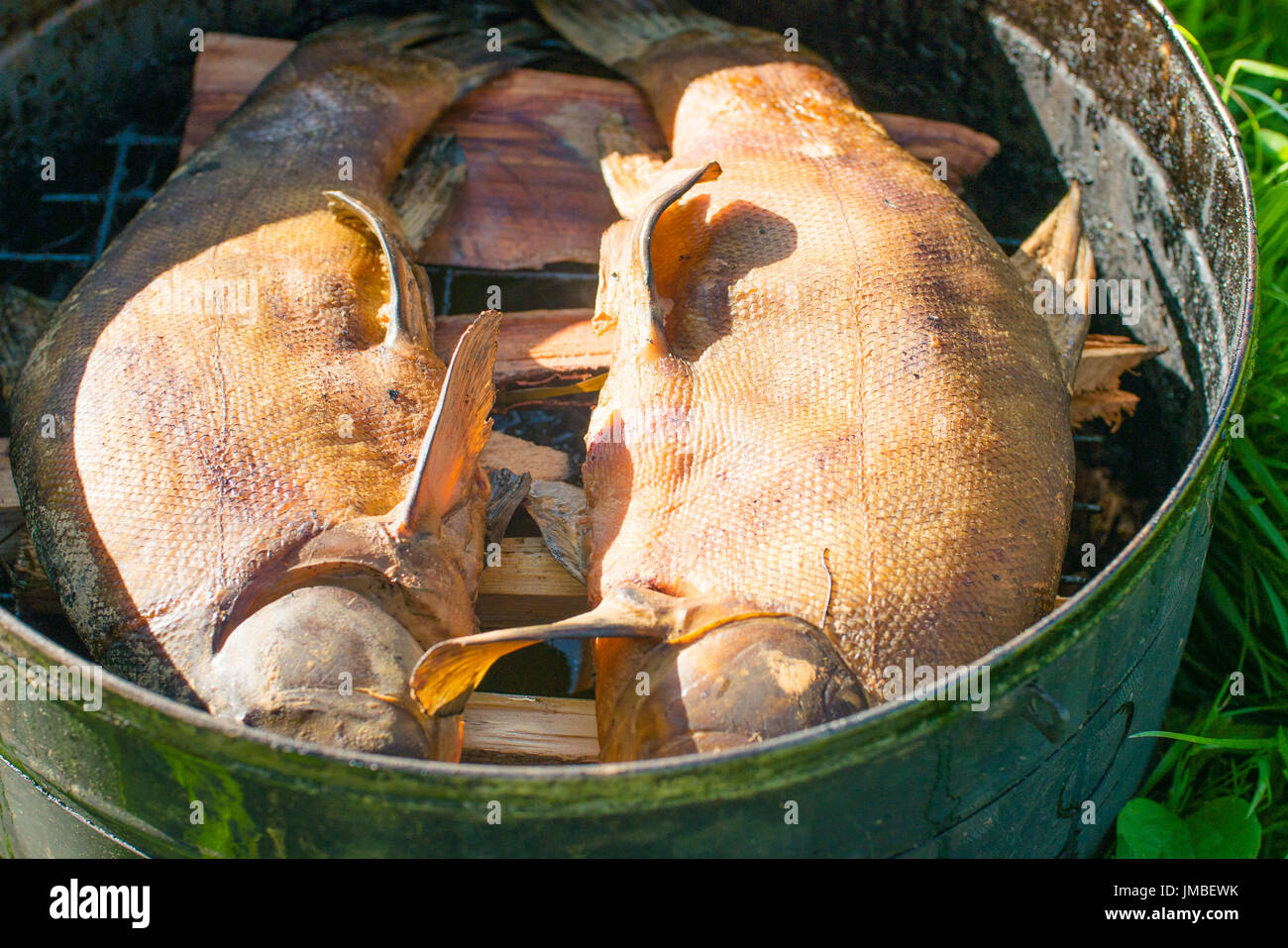 Processus de fumage du poisson pour une utilisation à domicile. Le poisson fumé. Close Up de fumage du poisson dans fumeurs versé pour un usage à domicile. La fumée provenant du feu ouvert Banque D'Images
