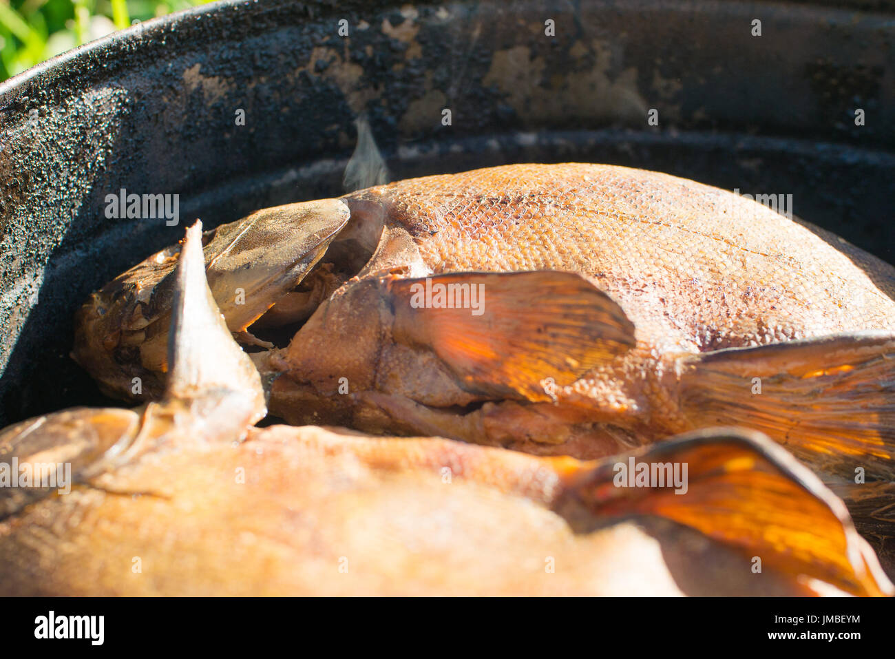 Processus de fumage du poisson pour une utilisation à domicile. Le poisson fumé. Close Up de fumage du poisson dans fumeurs versé pour un usage à domicile. La fumée provenant du feu ouvert Banque D'Images
