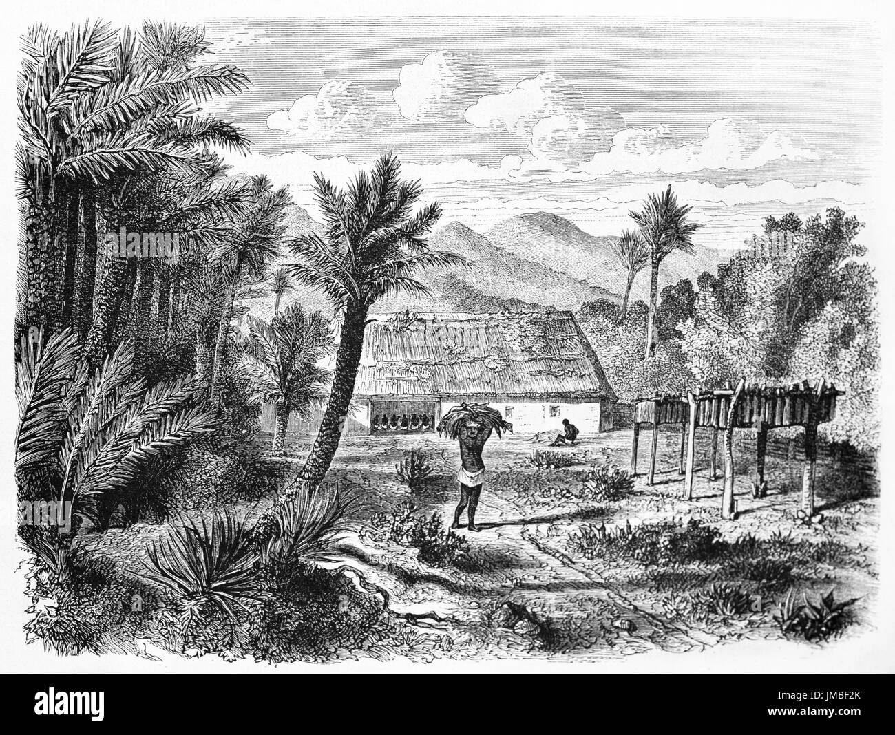 La récolte du tabac dans une plantation entourée par la jungle sud-américaine dans la campagne de Villa Rica, Paraguay. Art de Villevieille, le Tour du monde, 1861 Banque D'Images