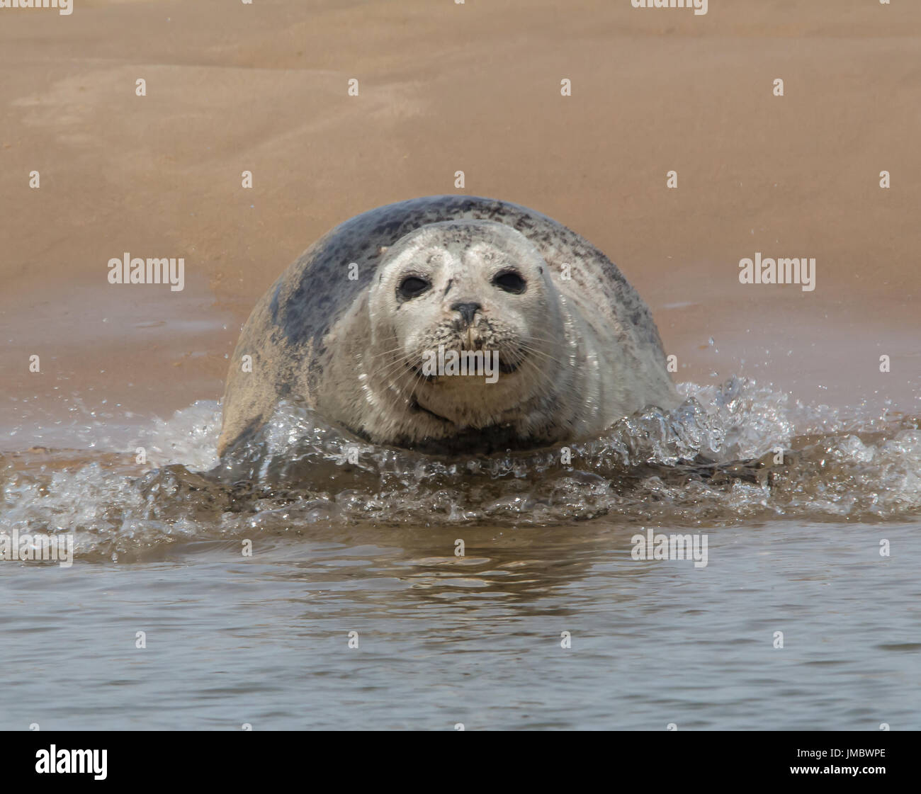 Point commun Banque de photographies et d’images à haute résolution - Alamy