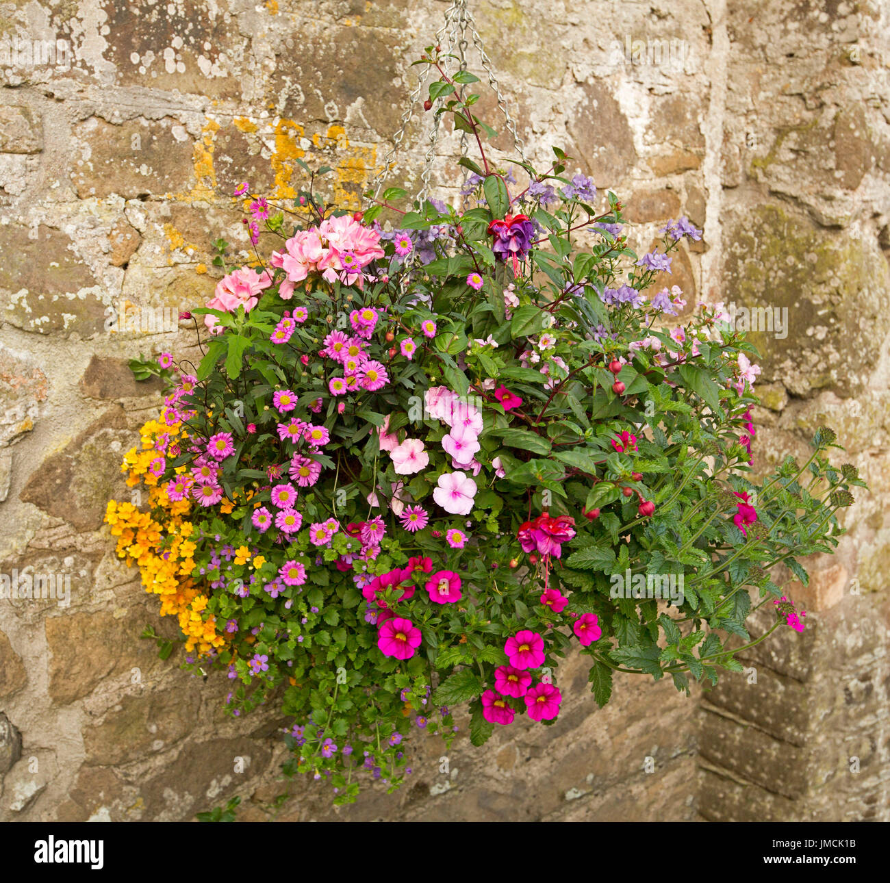 Masse des plantes à fleurs colorées de rouge, rose, jaune et mauve fleurs et feuillage émeraude en suspension contre mur de pierre Banque D'Images