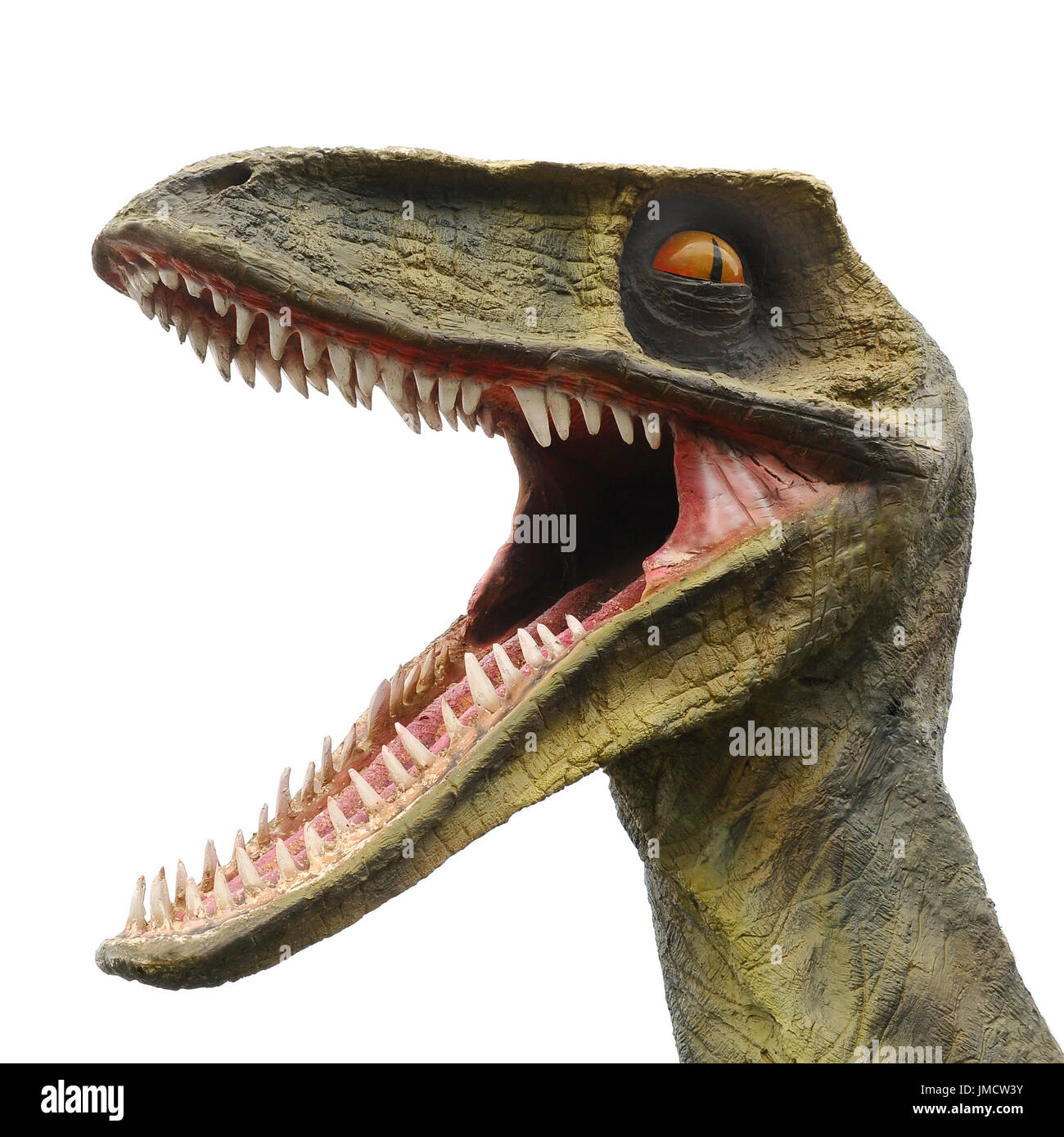 Modèle d'un grand dinosaure T Rex avec une grande bouche ouverte et beaucoup de dents pointues Banque D'Images