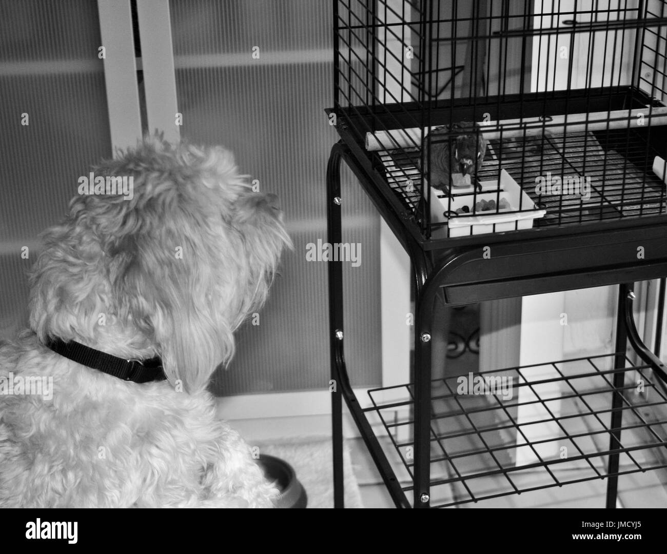 Conversation Banque D'Images