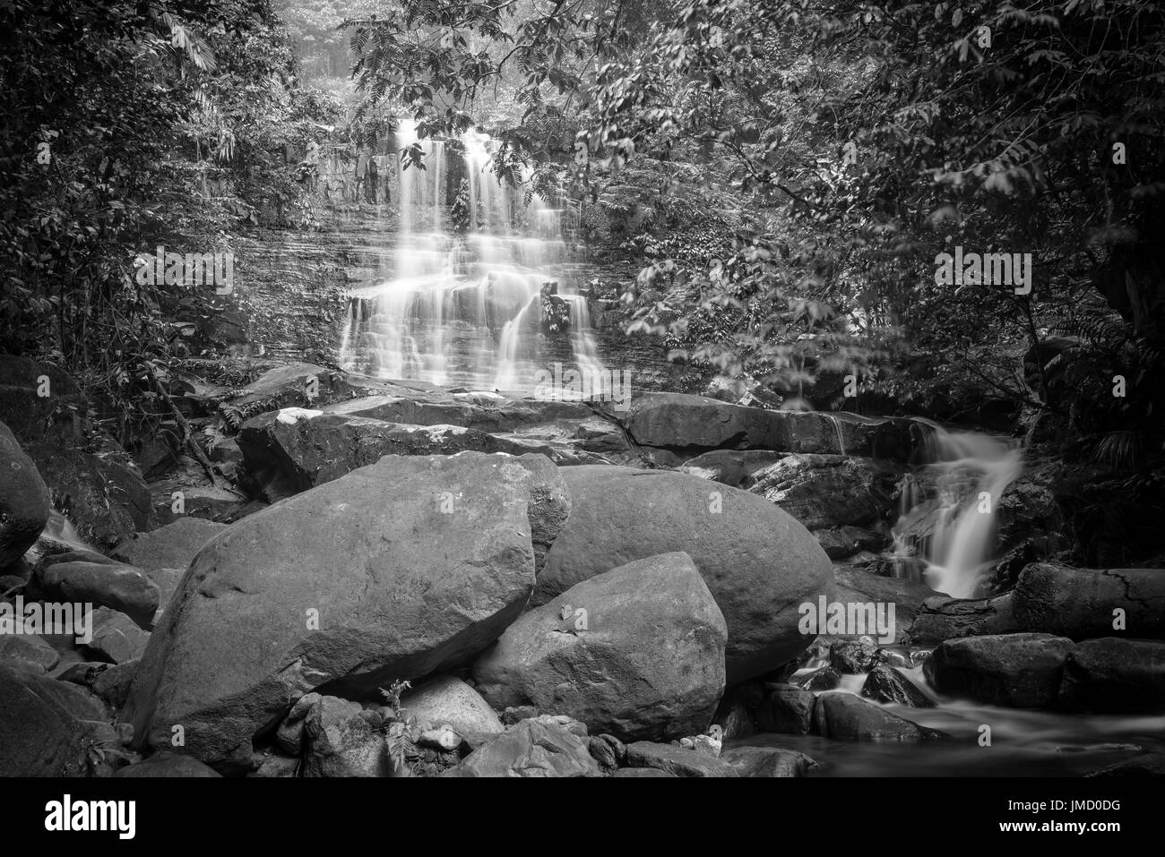 Photographie en noir et blanc d'une cascade de la forêt tropicale et de paysages de la rivière pris dans les parcs nationaux du Sarawak, Malaisie Banque D'Images
