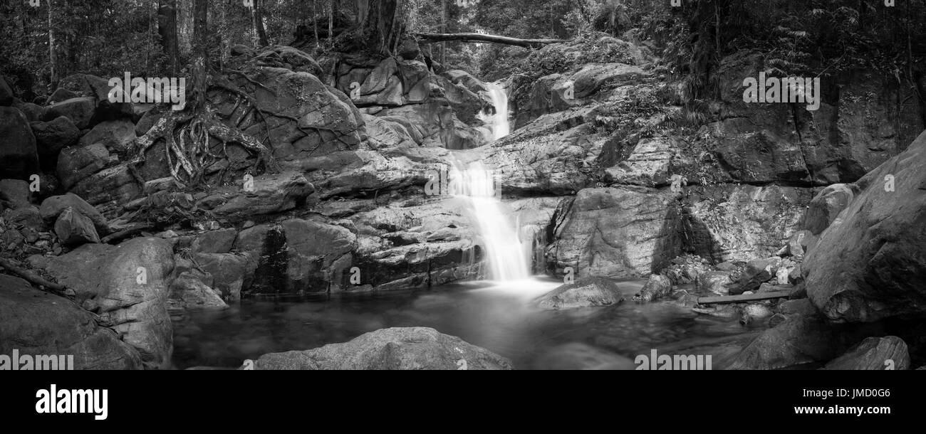 Photographie en noir et blanc d'une cascade de la forêt tropicale et de paysages de la rivière pris dans les parcs nationaux du Sarawak, Malaisie Banque D'Images Photographie en noir et blanc d'une cascade de la forêt tropicale et de paysages de la rivière pris dans les parcs nationaux du Sarawak, Malaisie Banque D'Images