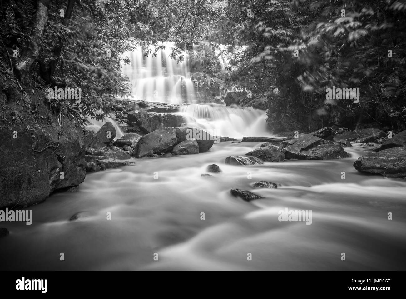 Photographie en noir et blanc d'une cascade de la forêt tropicale et de paysages de la rivière pris dans les parcs nationaux du Sarawak, Malaisie Banque D'Images