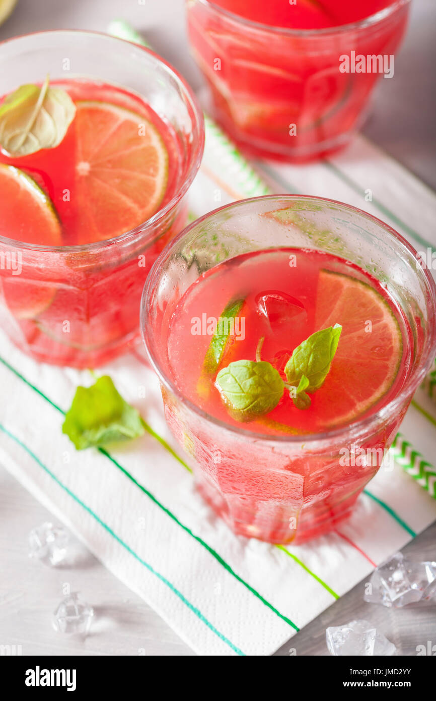 Watermelon limonade à la lime et à la menthe, boisson rafraîchissante de l'été Banque D'Images