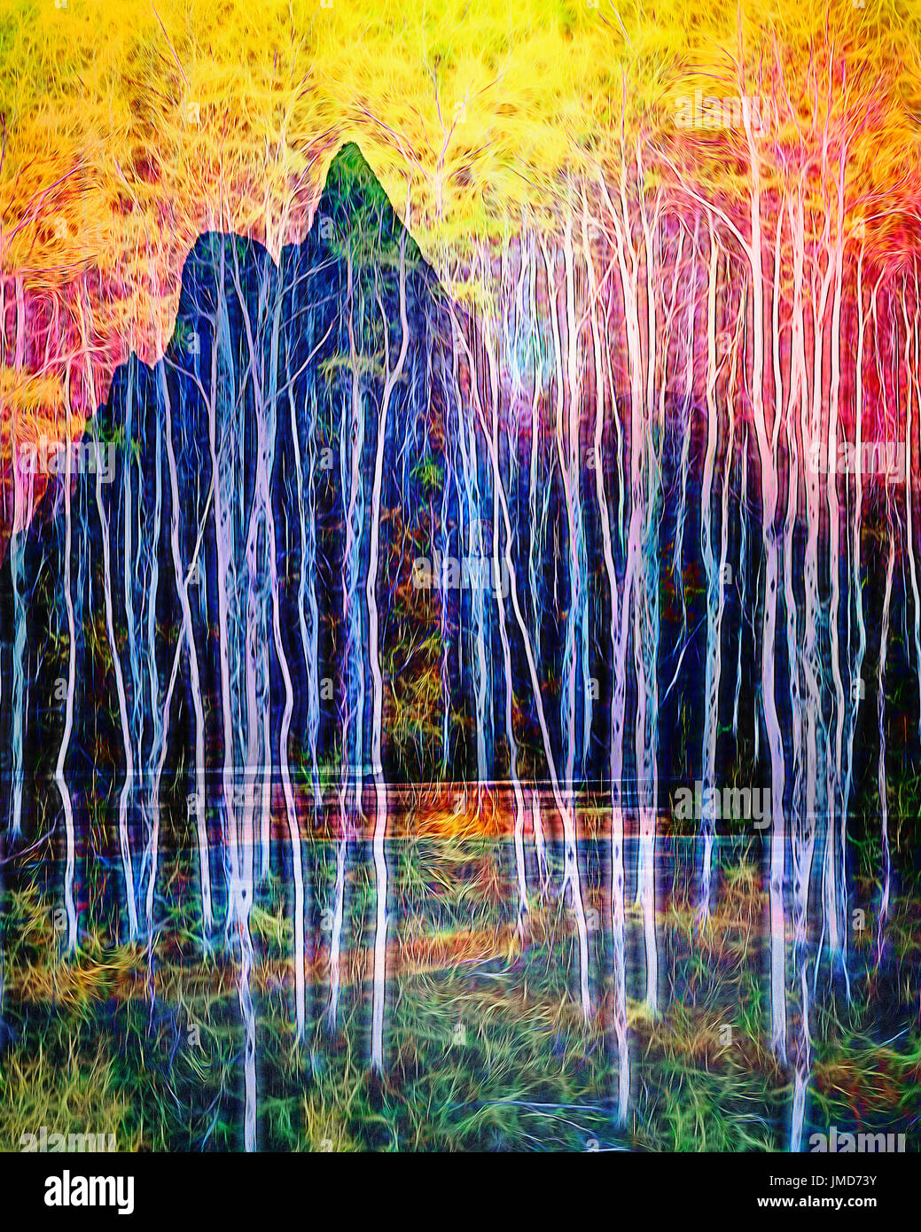 FINE ART : Magie de la forêt Banque D'Images