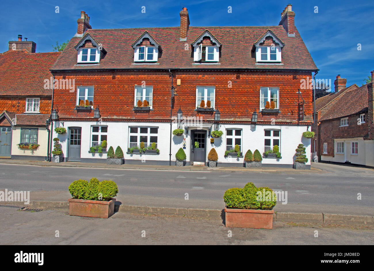 Chiddingford, Surrey, Europe, The Swan Inn Banque D'Images