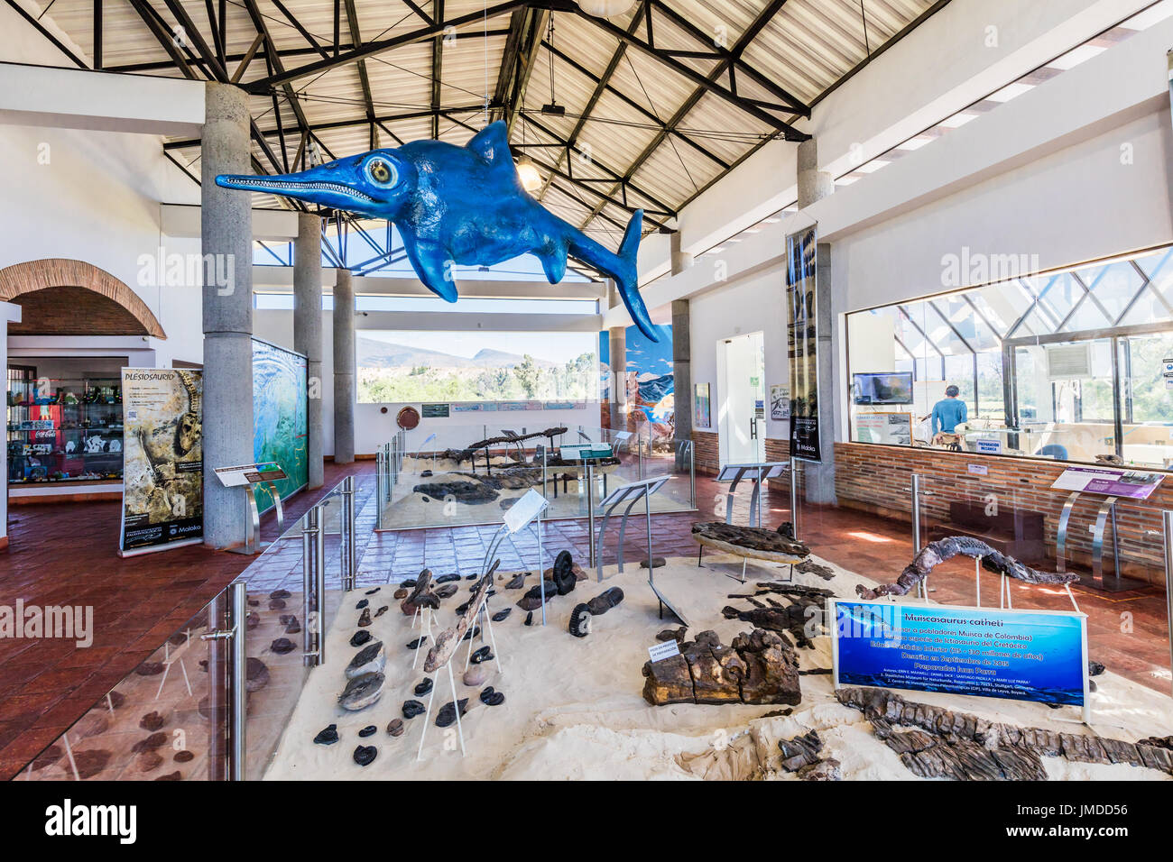 Villa de Leyva, Colombie - Février 7, 2017 : dinosaure fossile du Centro de Investigaciones Paleontológicas à Villa de Leyva Boyaca Colombie Amérique du Sud Banque D'Images