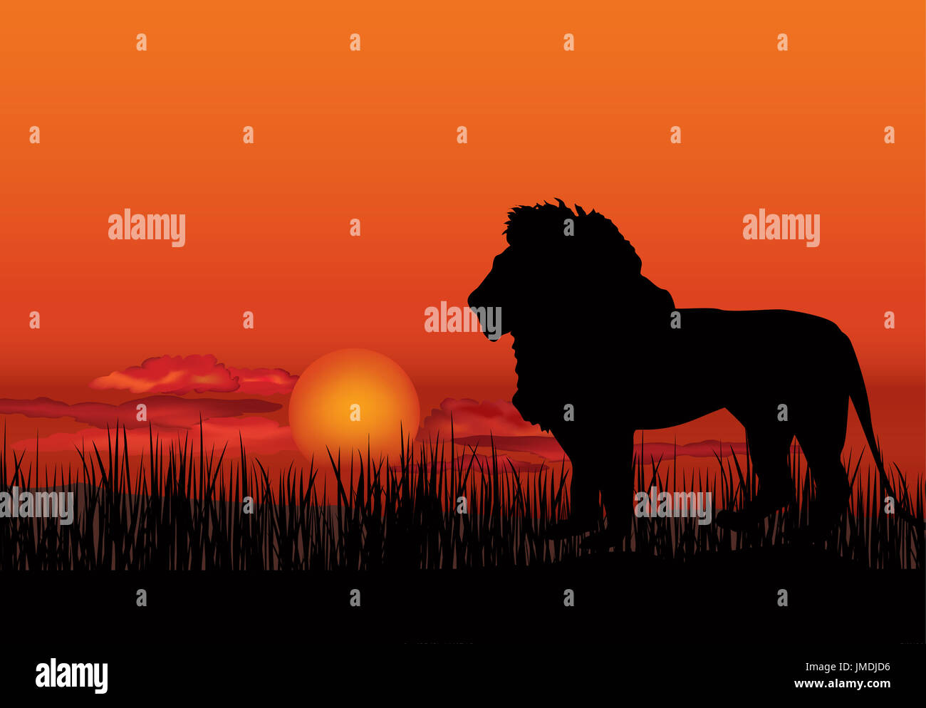 Paysage africain avec lion animal silhouette. Nature de la faune de la savane. Coucher de soleil fond d'horizon. Banque D'Images