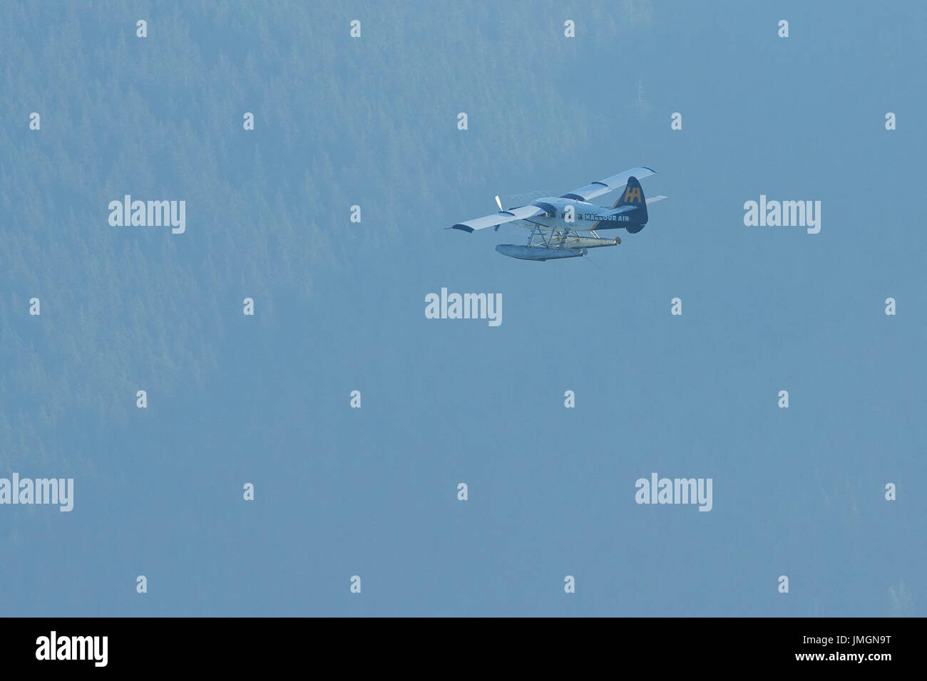 Harbour Air Seaplanes turbo otter hydravion survolant forêts éloignées de la Colombie-Britannique, Canada. Banque D'Images